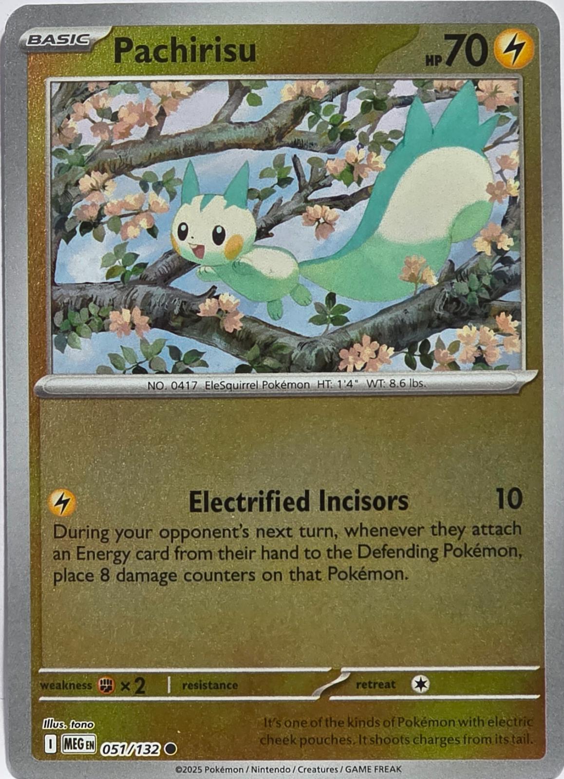 Pachirisu [Reverse Holo]
